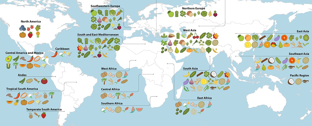 Tableau cuisine carte du monde Fruits et Légumes